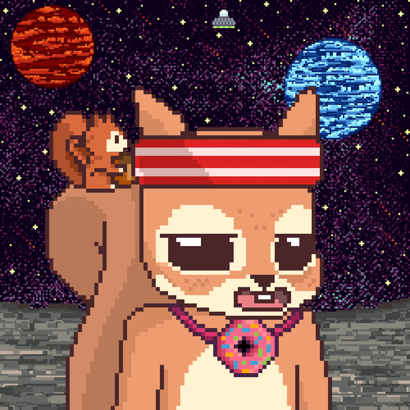 Pixel Squirrels #5312